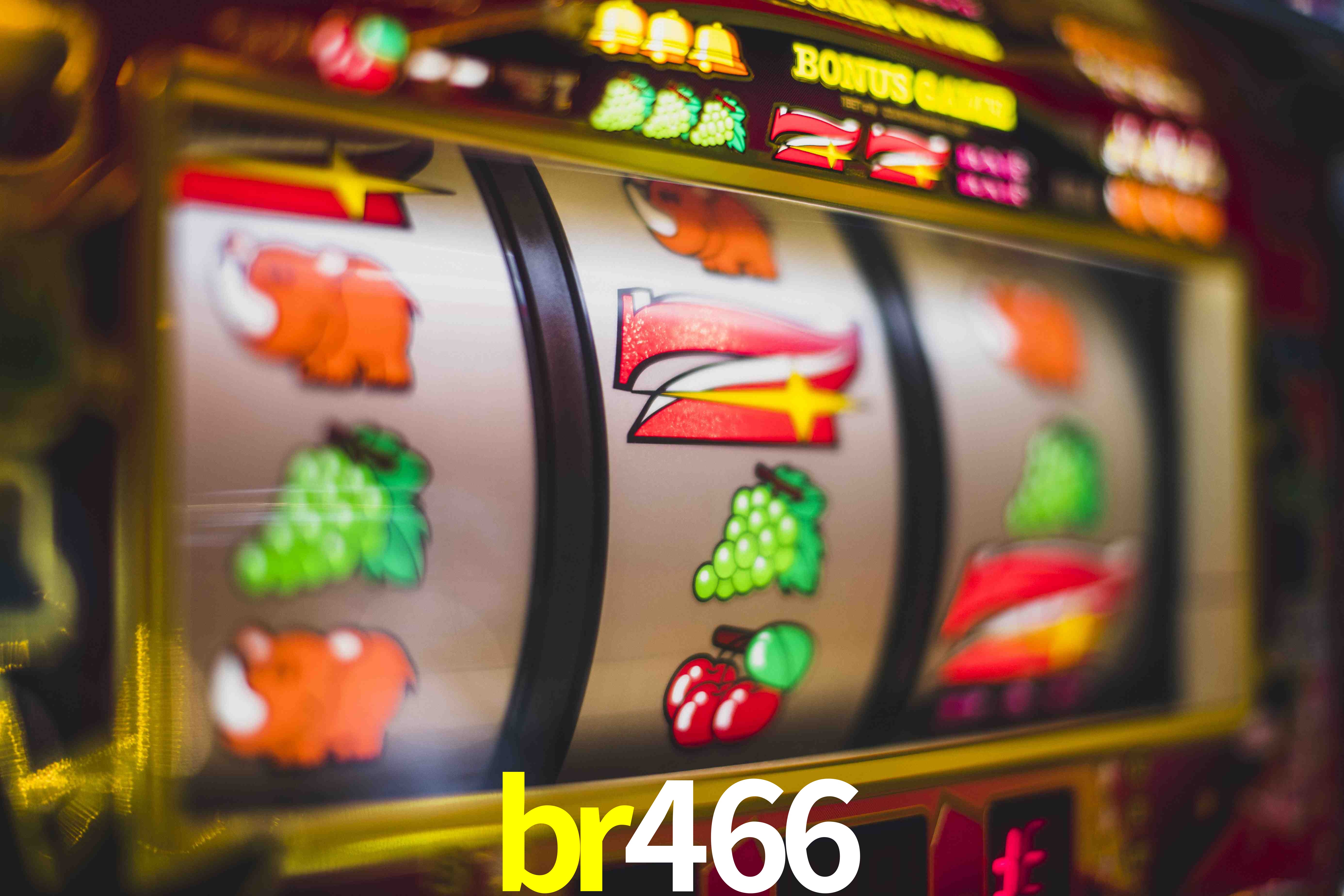 Experiência VIP br466